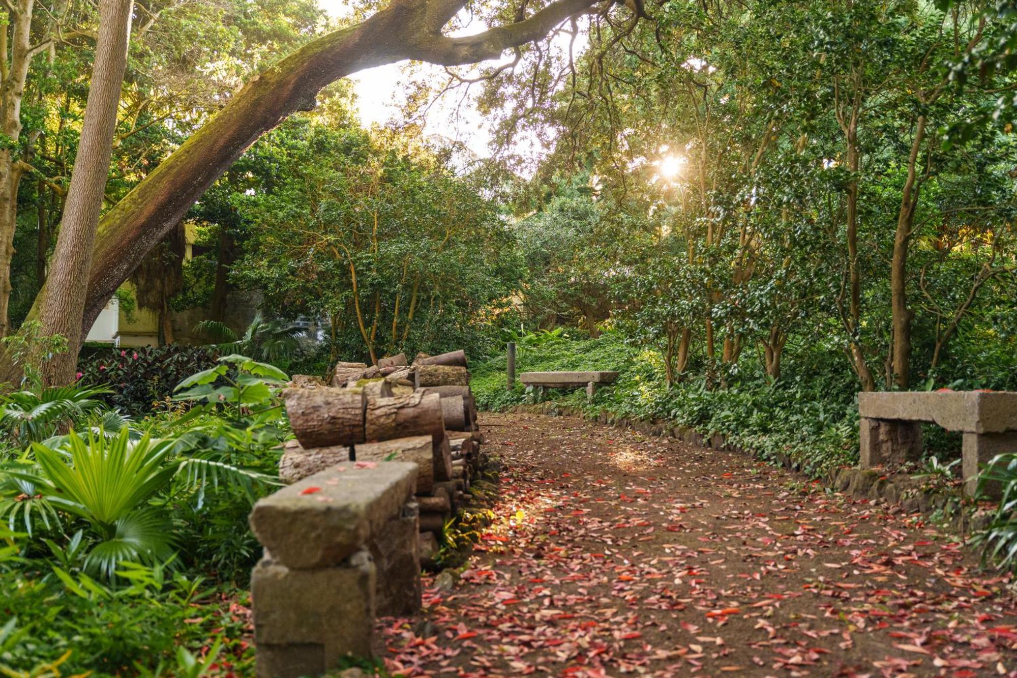 Solar Dos Cantos Botanic House & Garden ปอนตาเดลกาดา ภายนอก รูปภาพ